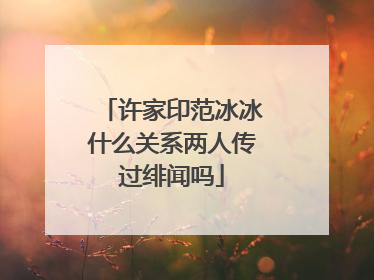 许家印范冰冰什么关系两人传过绯闻吗