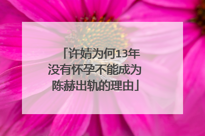 许婧为何13年没有怀孕不能成为陈赫出轨的理由