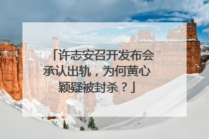 许志安召开发布会承认出轨，为何黄心颖疑被封杀？