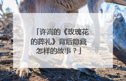 许嵩的《玫瑰花的葬礼》背后隐藏怎样的故事？