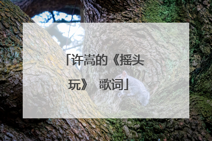 许嵩的《摇头玩》 歌词