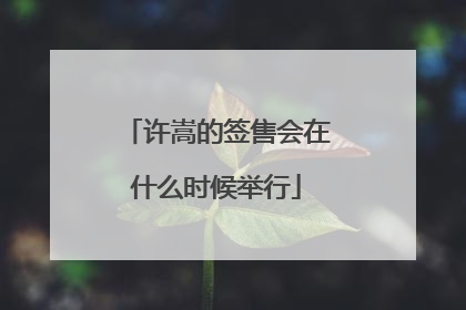 许嵩的签售会在什么时候举行
