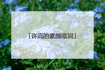 许嵩的素颜歌词