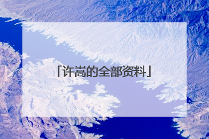 许嵩的全部资料