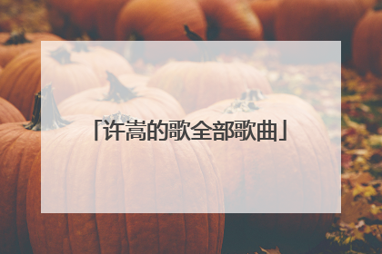 许嵩的歌全部歌曲