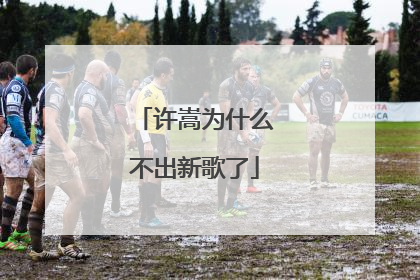 许嵩为什么不出新歌了