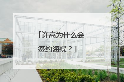 许嵩为什么会签约海蝶？