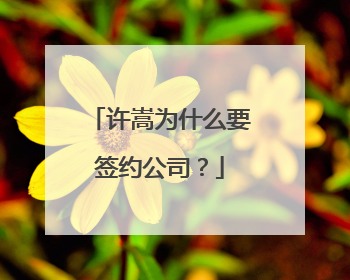 许嵩为什么要签约公司？