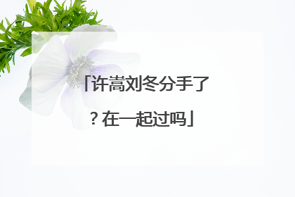 许嵩刘冬分手了?在一起过吗