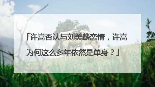 许嵩否认与刘美麟恋情，许嵩为何这么多年依然是单身？