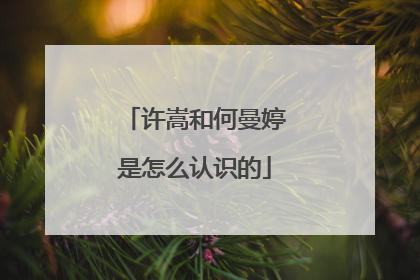 许嵩和何曼婷是怎么认识的
