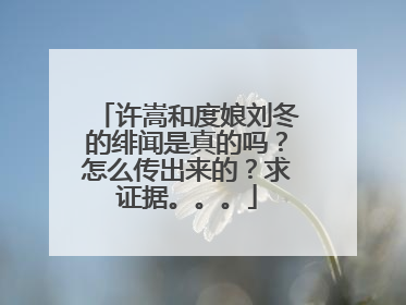 许嵩和度娘刘冬的绯闻是真的吗?怎么传出来的?求证据。。。