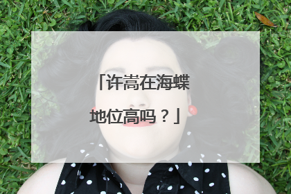 许嵩在海蝶地位高吗？