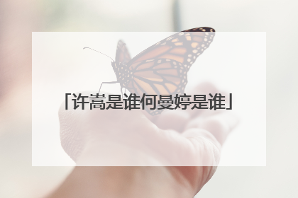 许嵩是谁何曼婷是谁