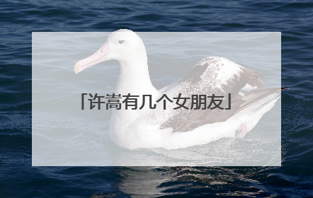 许嵩有几个女朋友