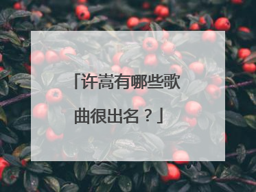 许嵩有哪些歌曲很出名?