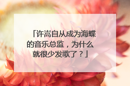 许嵩自从成为海蝶的音乐总监,为什么就很少发歌了?