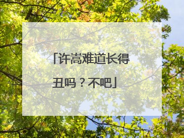 许嵩难道长得丑吗？不吧
