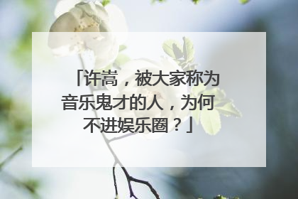 许嵩，被大家称为音乐鬼才的人，为何不进娱乐圈？