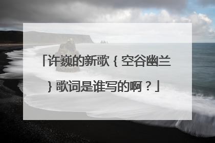 许巍的新歌｛空谷幽兰｝歌词是谁写的啊？