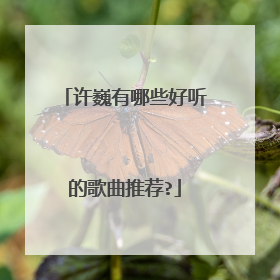 许巍有哪些好听的歌曲推荐?