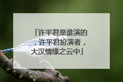 许平君是谁演的，许平君扮演者，大汉情缘之云中