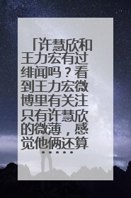 许慧欣和王力宏有过绯闻吗？看到王力宏微博里有关注只有许慧欣的微薄，感觉他俩还算·······