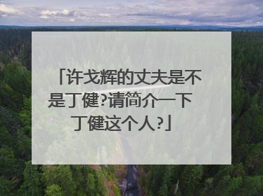 许戈辉的丈夫是不是丁健?请简介一下丁健这个人?