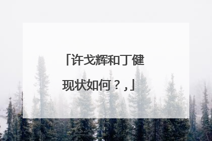 许戈辉和丁健现状如何?,