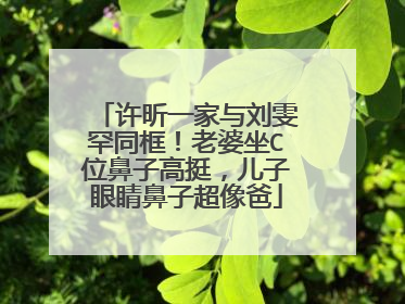 许昕一家与刘雯罕同框!老婆坐C位鼻子高挺,儿子眼睛鼻子超像爸