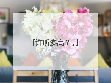 许昕多高?,