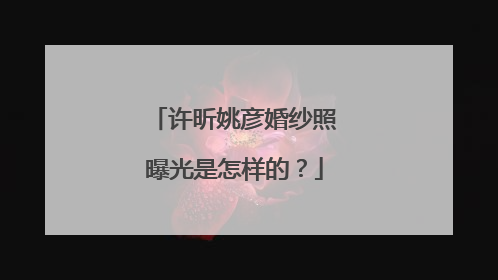许昕姚彦婚纱照曝光是怎样的？