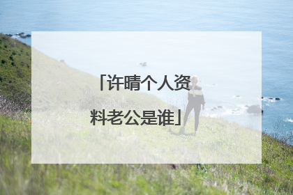 许晴个人资料老公是谁