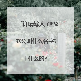 许晴嫁人了吗?老公叫什么名字?干什么的?