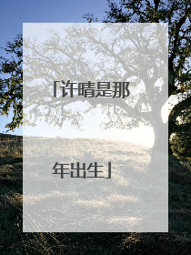 许晴是那年出生