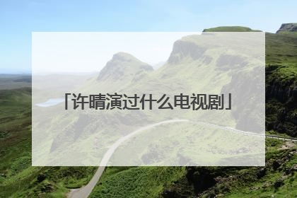 许晴演过什么电视剧