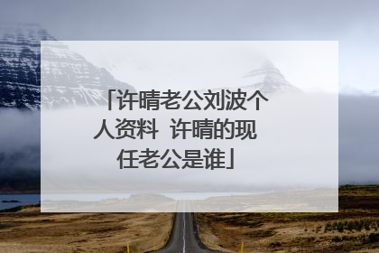 许晴老公刘波个人资料 许晴的现任老公是谁