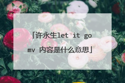 许永生let it go mv 内容是什么意思