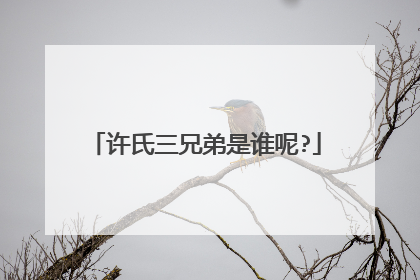 许氏三兄弟是谁呢?