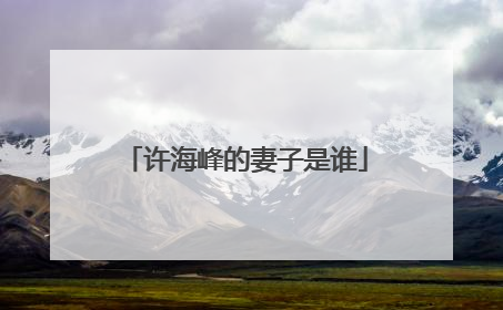 许海峰的妻子是谁