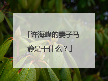 许海峰的妻子马静是干什么?