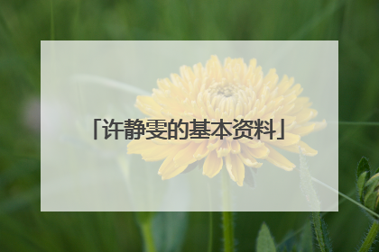 许静雯的基本资料