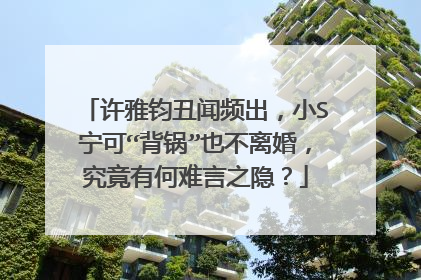 许雅钧丑闻频出,小S宁可“背锅”也不离婚,究竟有何难言之隐?