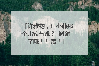 许雅钧,汪小菲那个比较有钱? 谢谢了哦!! 轰!