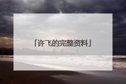 许飞的完整资料