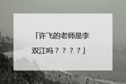 许飞的老师是李双江吗????