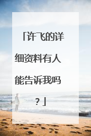 许飞的详细资料有人能告诉我吗？