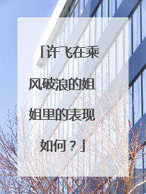 许飞在乘风破浪的姐姐里的表现如何?