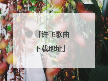 许飞歌曲下载地址