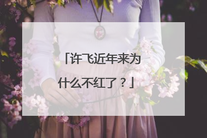 许飞近年来为什么不红了?
